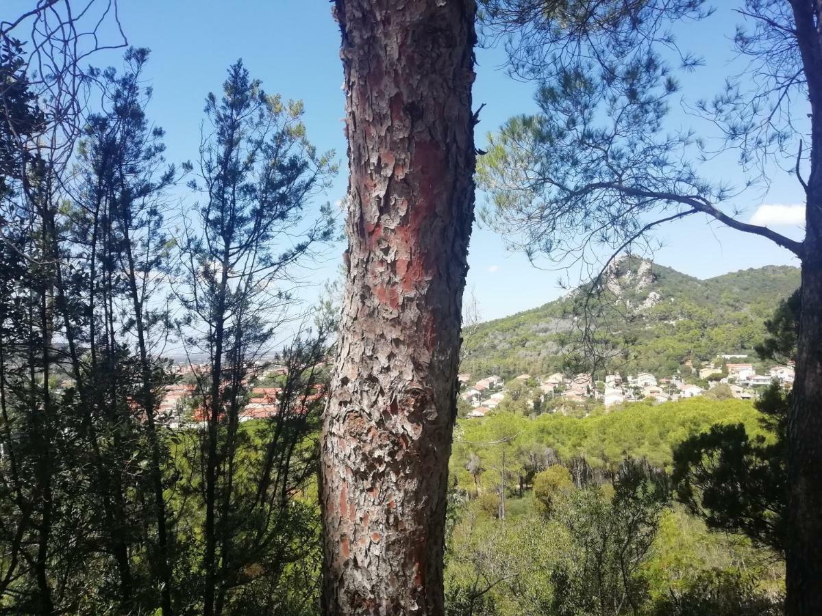 Casa Vacanze "Villa Severina" Iun R6166 R6692 Carbonia Dış mekan fotoğraf